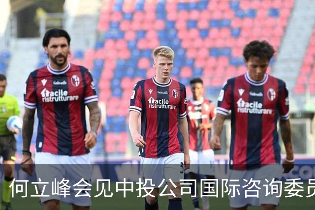 何立峰会见中投公司国际咨询委员会委员