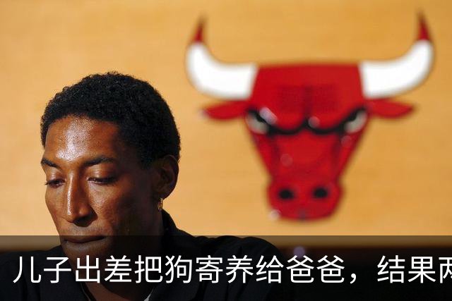 儿子出差把狗寄养给爸爸，结果两天后爸爸天天晒狗，还说……哈哈哈彻底沦陷了！