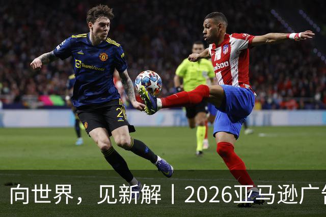 向世界，见新解丨2026亚马逊广告合作伙伴奖获奖名单正式揭晓