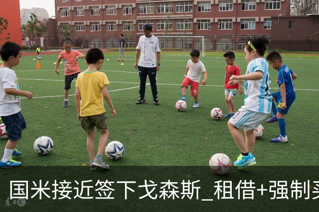 国米接近签下戈森斯 租借+强制买断总价3000万欧
