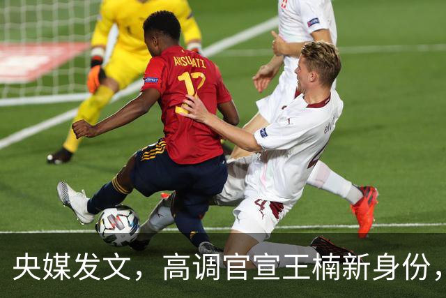央媒发文，高调官宣王楠新身份，资产查封被带走调查传闻早有真相