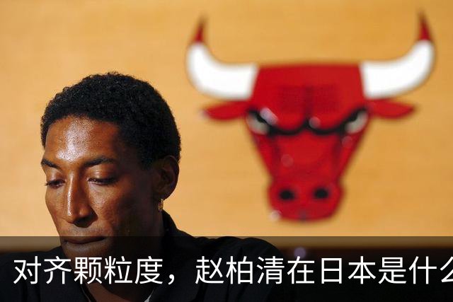 对齐颗粒度，赵柏清在日本是什么水平？