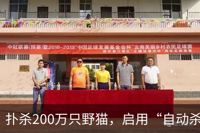扑杀200万只野猫，启用“自动杀猫机”，对家猫“宵禁”……澳大利亚为什么不肯放过野生“哈基米”？