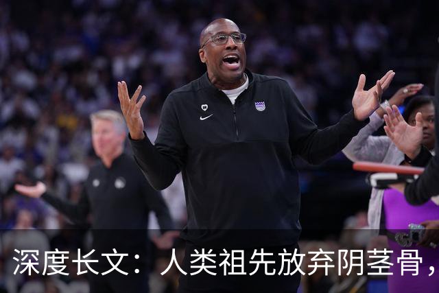 深度长文：人类祖先放弃阴茎骨，换来了无法伪装的亲密！