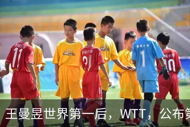 王曼昱世界第一后，WTT，公布第二批入围名单，孙颖莎的话值得深思