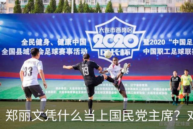 郑丽文凭什么当上国民党主席？对比韩、蒋、朱、赵，差距一目了然