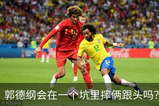 郭德纲会在一个坑里摔俩跟头吗？