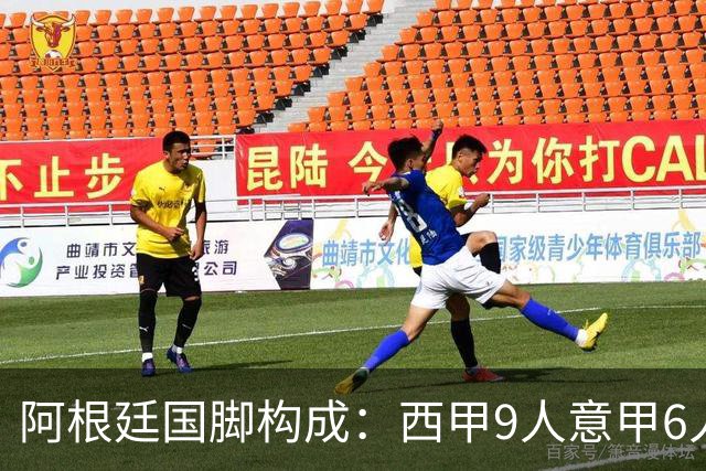 阿根廷国脚构成：西甲9人意甲6人 阿本土仅1人