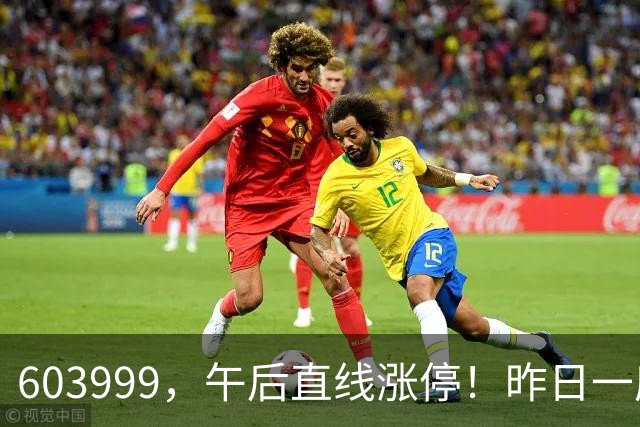 603999，午后直线涨停！昨日一度跌停